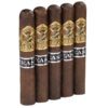 Gurkha Beast 5pk